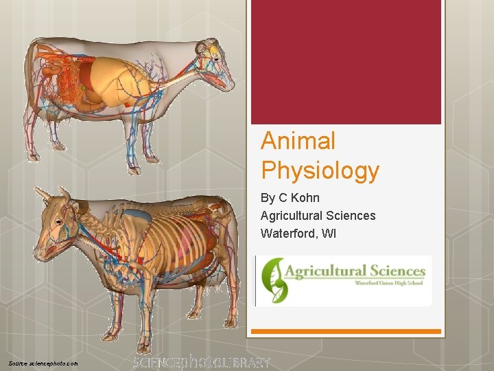 Animal Physiology By C Kohn Agricultural Sciences Waterford, WI Source sciencephoto. com 