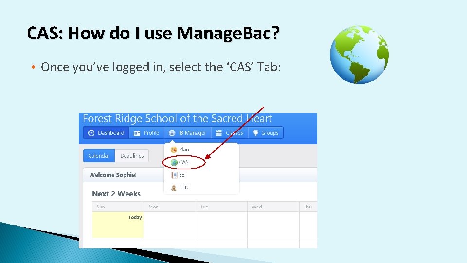 CAS: How do I use Manage. Bac? • Once you’ve logged in, select the