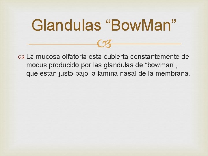 Glandulas “Bow. Man” La mucosa olfatoria esta cubierta constantemente de mocus producido por las