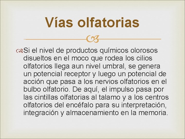 Vías olfatorias Si el nivel de productos químicos olorosos disueltos en el moco que