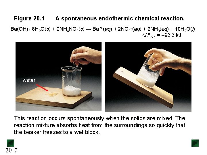 Figure 20. 1 A spontaneous endothermic chemical reaction. Ba(OH)2· 8 H 2 O(s) +