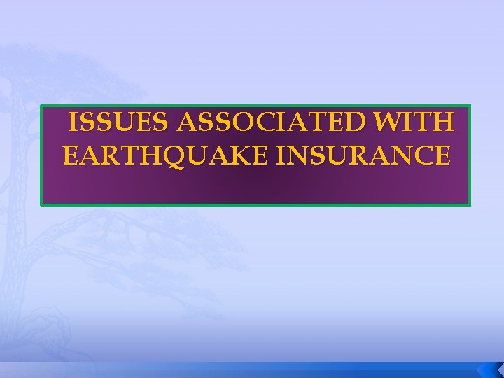 ISSUES ASSOCIATED WITH EARTHQUAKE INSURANCE 
