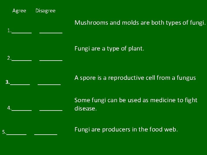 Agree Disagree Mushrooms and molds are both types of fungi. 1. ________ Fungi are