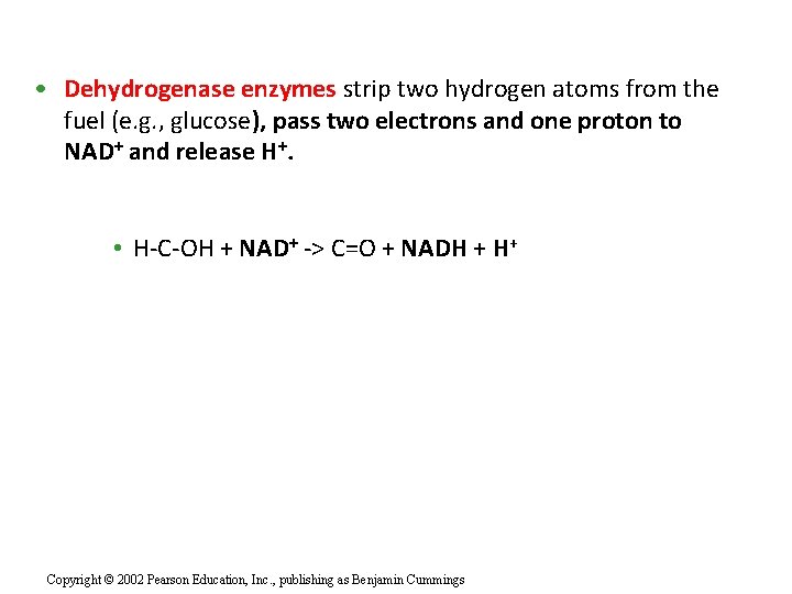  • Dehydrogenase enzymes strip two hydrogen atoms from the fuel (e. g. ,