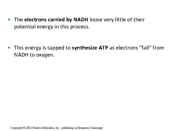  • The electrons carried by NADH loose very little of their potential energy