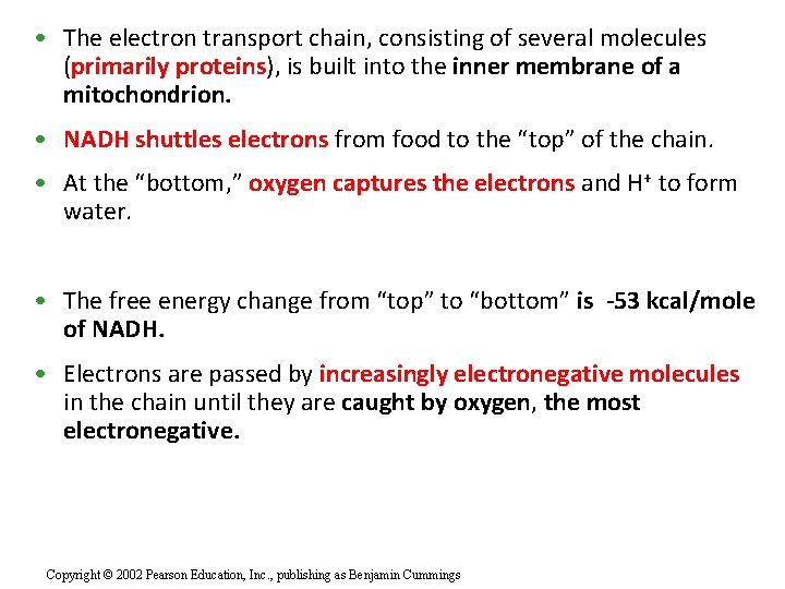  • The electron transport chain, consisting of several molecules (primarily proteins), is built