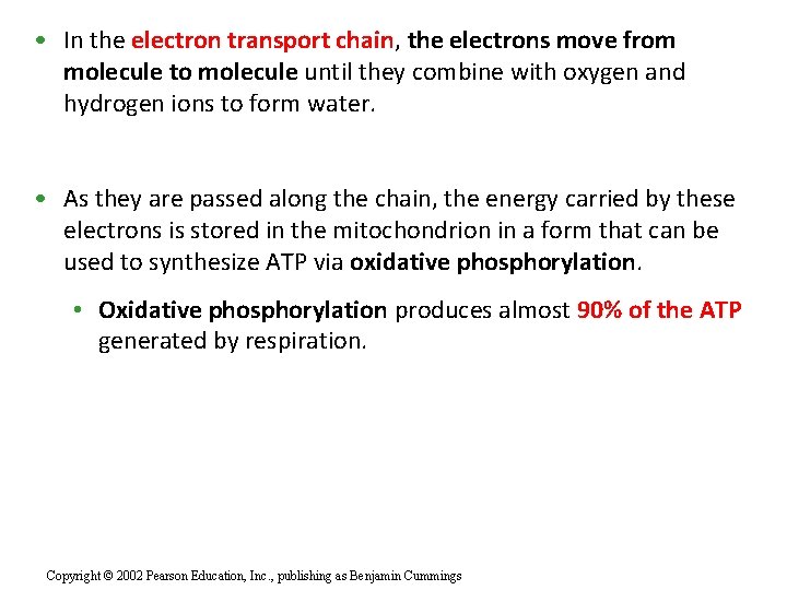  • In the electron transport chain, the electrons move from molecule to molecule