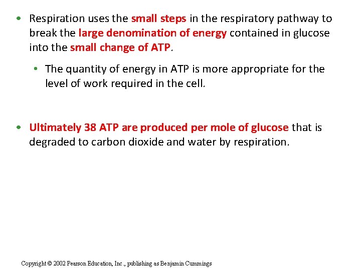  • Respiration uses the small steps in the respiratory pathway to break the