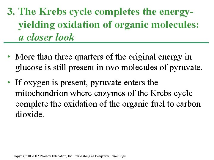 3. The Krebs cycle completes the energyyielding oxidation of organic molecules: a closer look