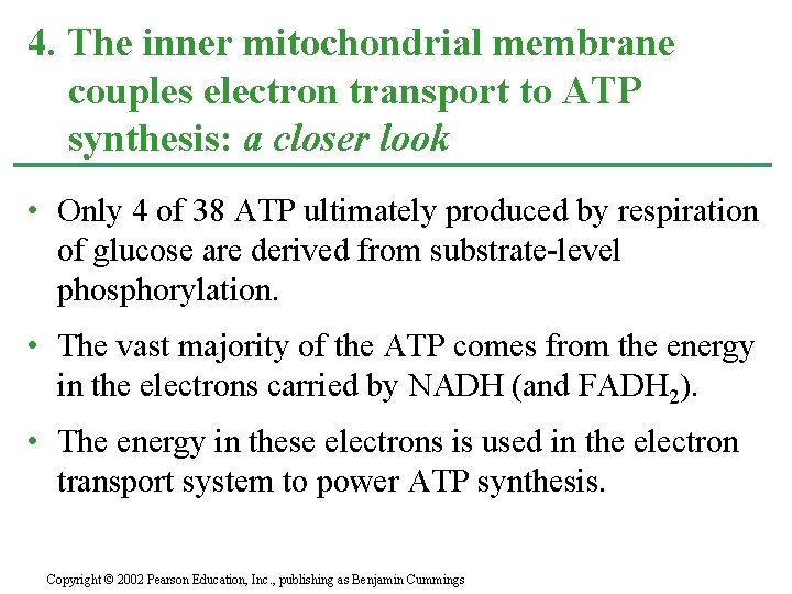 4. The inner mitochondrial membrane couples electron transport to ATP synthesis: a closer look