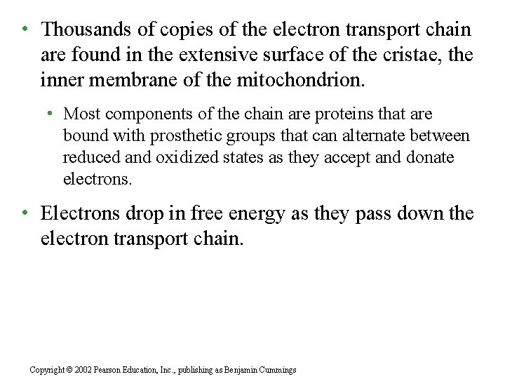  • Thousands of copies of the electron transport chain are found in the