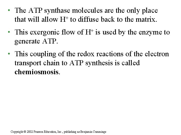  • The ATP synthase molecules are the only place that will allow H+