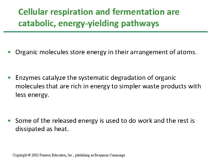 Cellular respiration and fermentation are catabolic, energy-yielding pathways • Organic molecules store energy in