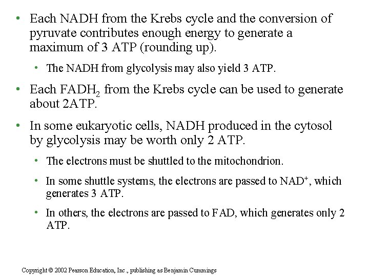  • Each NADH from the Krebs cycle and the conversion of pyruvate contributes