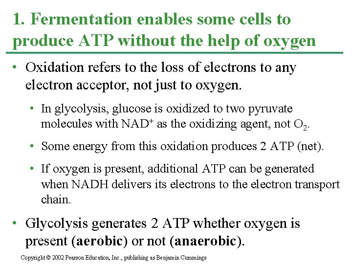 1. Fermentation enables some cells to produce ATP without the help of oxygen •