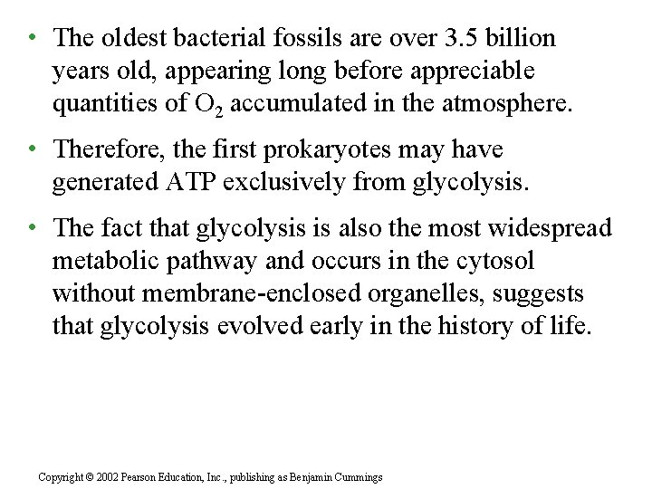  • The oldest bacterial fossils are over 3. 5 billion years old, appearing