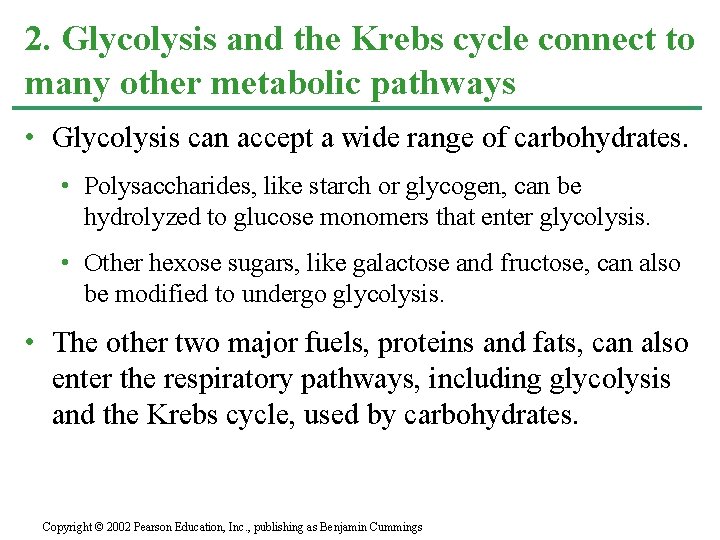 2. Glycolysis and the Krebs cycle connect to many other metabolic pathways • Glycolysis