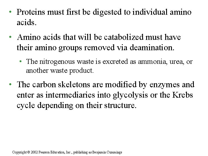  • Proteins must first be digested to individual amino acids. • Amino acids