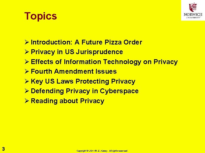 Topics Ø Introduction: A Future Pizza Order Ø Privacy in US Jurisprudence Ø Effects