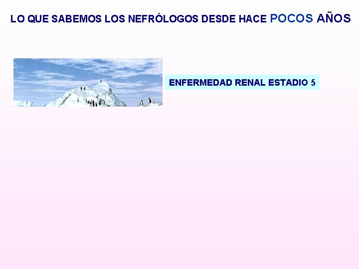 LO QUE SABEMOS LOS NEFRÓLOGOS DESDE HACE POCOS AÑOS ENFERMEDAD RENAL ESTADIO 5 