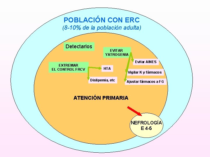 POBLACIÓN CON ERC (8 -10% de la población adulta) Detectarlos EXTREMAR EL CONTROL FRCV