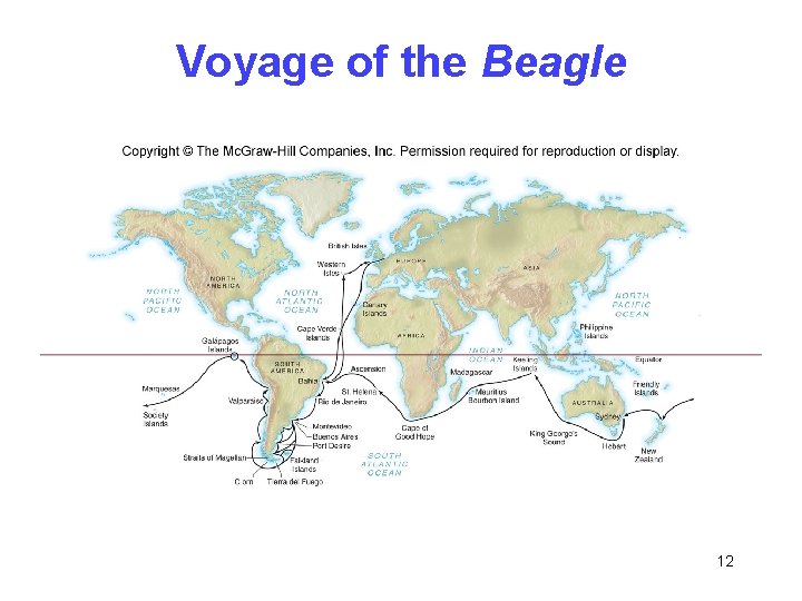 Voyage of the Beagle 12 