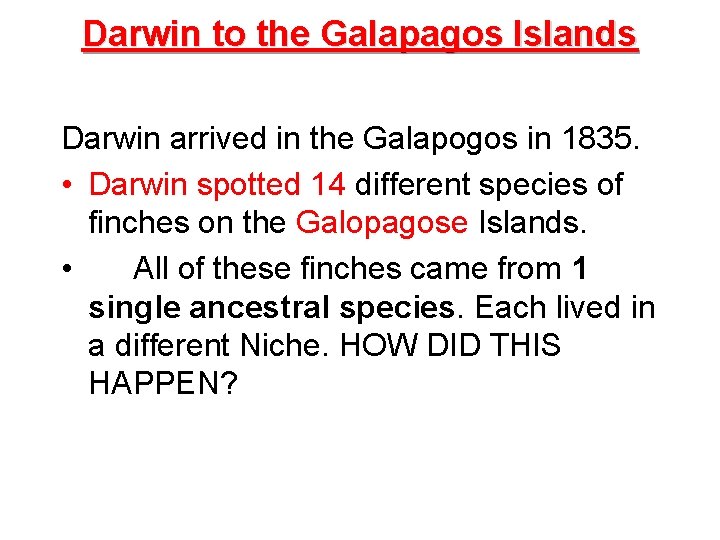 Darwin to the Galapagos Islands Darwin arrived in the Galapogos in 1835. • Darwin
