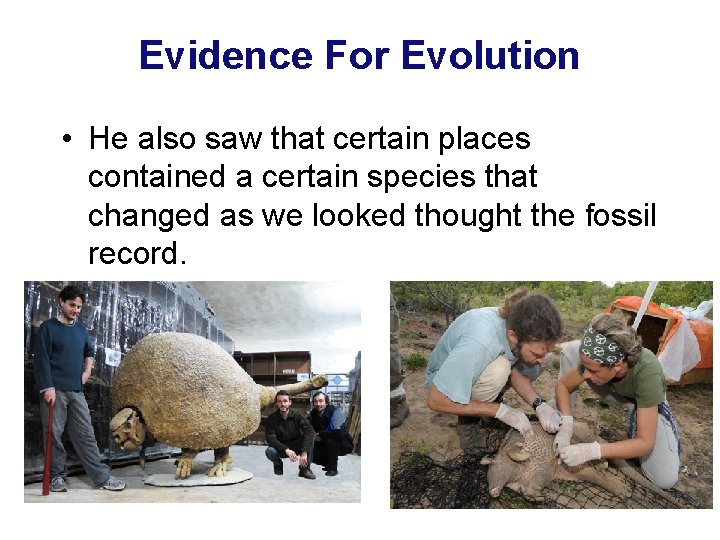 Evidence For Evolution • He also saw that certain places contained a certain species