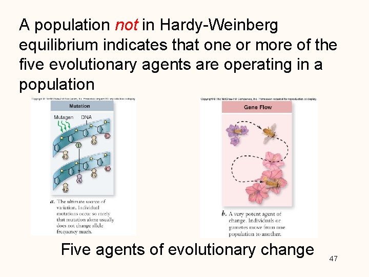 A population not in Hardy-Weinberg equilibrium indicates that one or more of the five