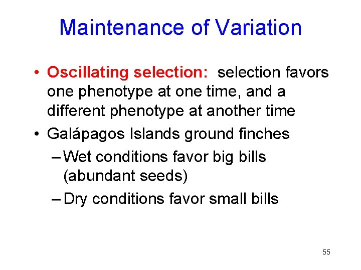 Maintenance of Variation • Oscillating selection: selection favors one phenotype at one time, and
