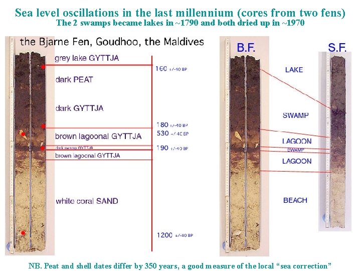 Sea level oscillations in the last millennium (cores from two fens) The 2 swamps