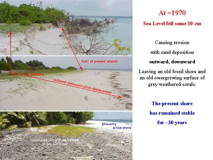 At ~1970 Sea Level fell some 20 cm Causing erosion with sand deposition outward,