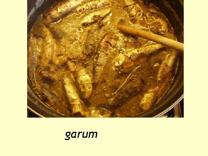 garum 