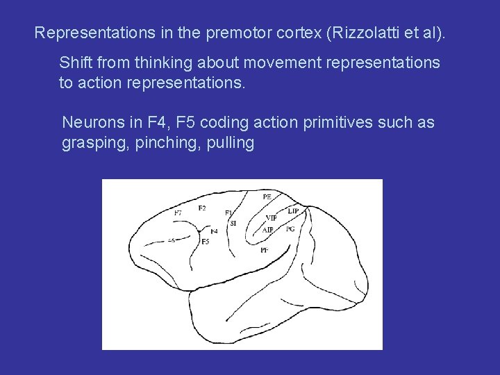 Representations in the premotor cortex (Rizzolatti et al). Shift from thinking about movement representations