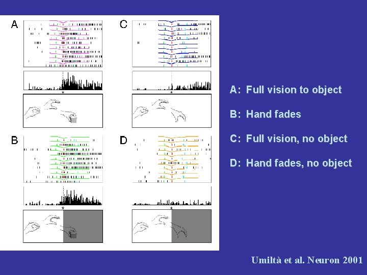 A: Full vision to object B: Hand fades C: Full vision, no object D: