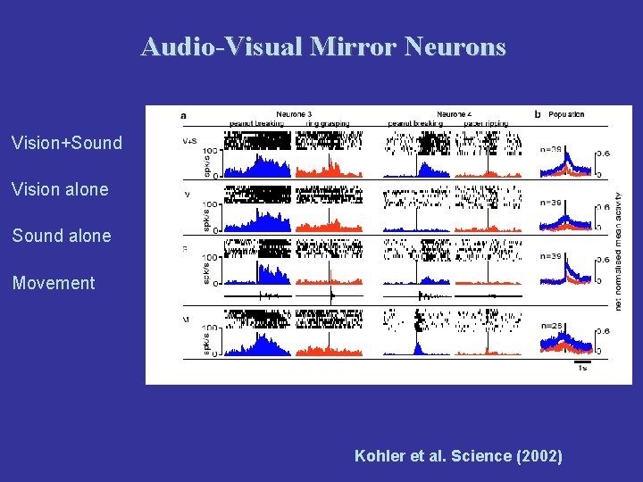 Audio-Visual Mirror Neurons Vision+Sound Vision alone Sound alone Movement Kohler et al. Science (2002)