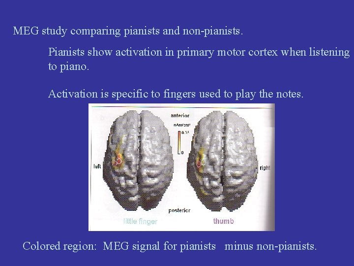 MEG study comparing pianists and non-pianists. Pianists show activation in primary motor cortex when