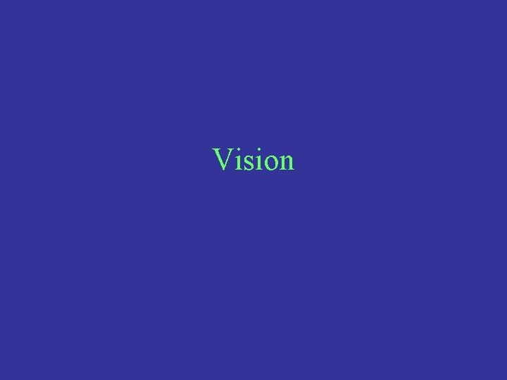 Vision 