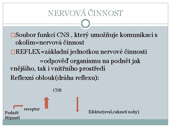 NERVOVÁ ČINNOST �Soubor funkcí CNS , který umožňuje komunikaci s okolím=nervová činnost �REFLEX=základní jednotkou