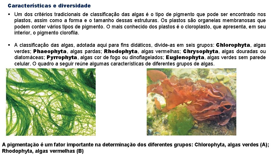 Características e diversidade § Um dos critérios tradicionais de classificação das algas é o