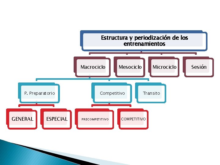 Estructura y periodización de los entrenamientos Macrociclo P. Preparatorio GENERAL ESPECIAL Mesociclo Competitivo PRECOMPETITIVO