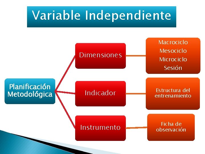 Variable Independiente Dimensiones Planificación Metodológica Indicador Instrumento Macrociclo Mesociclo Microciclo Sesión Estructura del entrenamiento