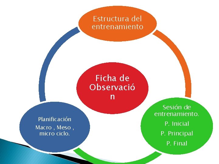 Estructura del entrenamiento Ficha de Observació n Planificación Macro , Meso , micro ciclo.