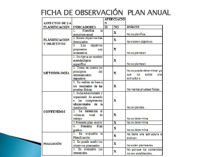 FICHA DE OBSERVACIÓN PLAN ANUAL 