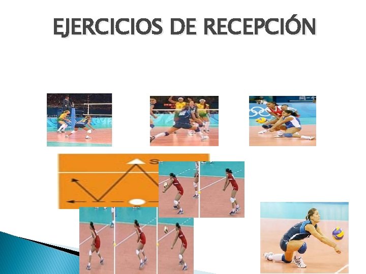 EJERCICIOS DE RECEPCIÓN 