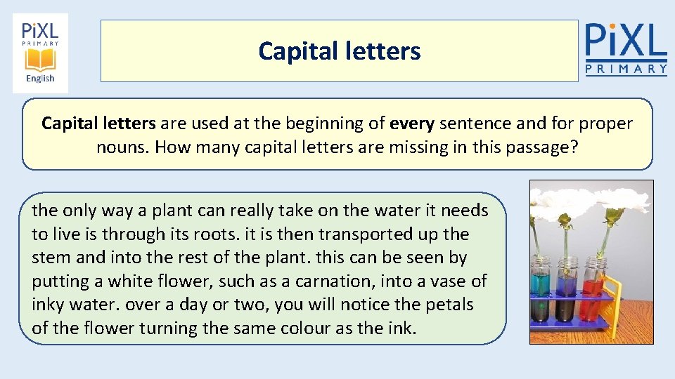 Capital letters are used at the beginning of every sentence and for proper nouns.