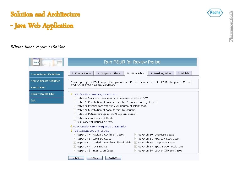 Wizard-based report definition Pharmaceuticals Solution and Architecture - Java Web Application 