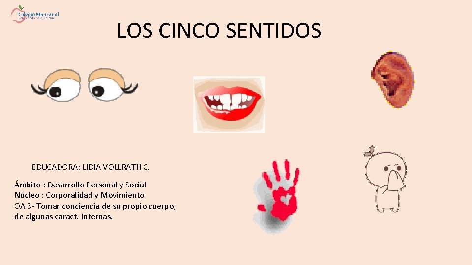 LOS CINCO SENTIDOS EDUCADORA: LIDIA VOLLRATH C. Ámbito : Desarrollo Personal y Social Núcleo