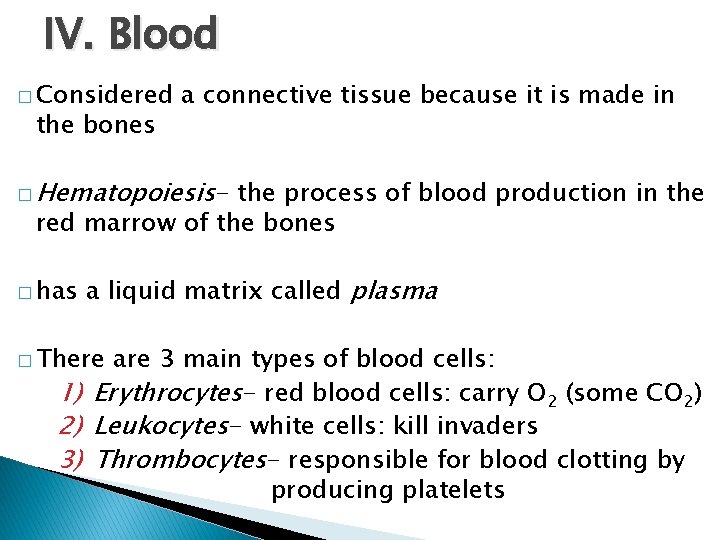 IV. Blood � Considered the bones a connective tissue because it is made in