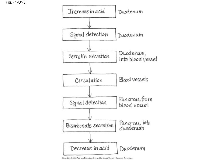 Fig. 41 -UN 2 